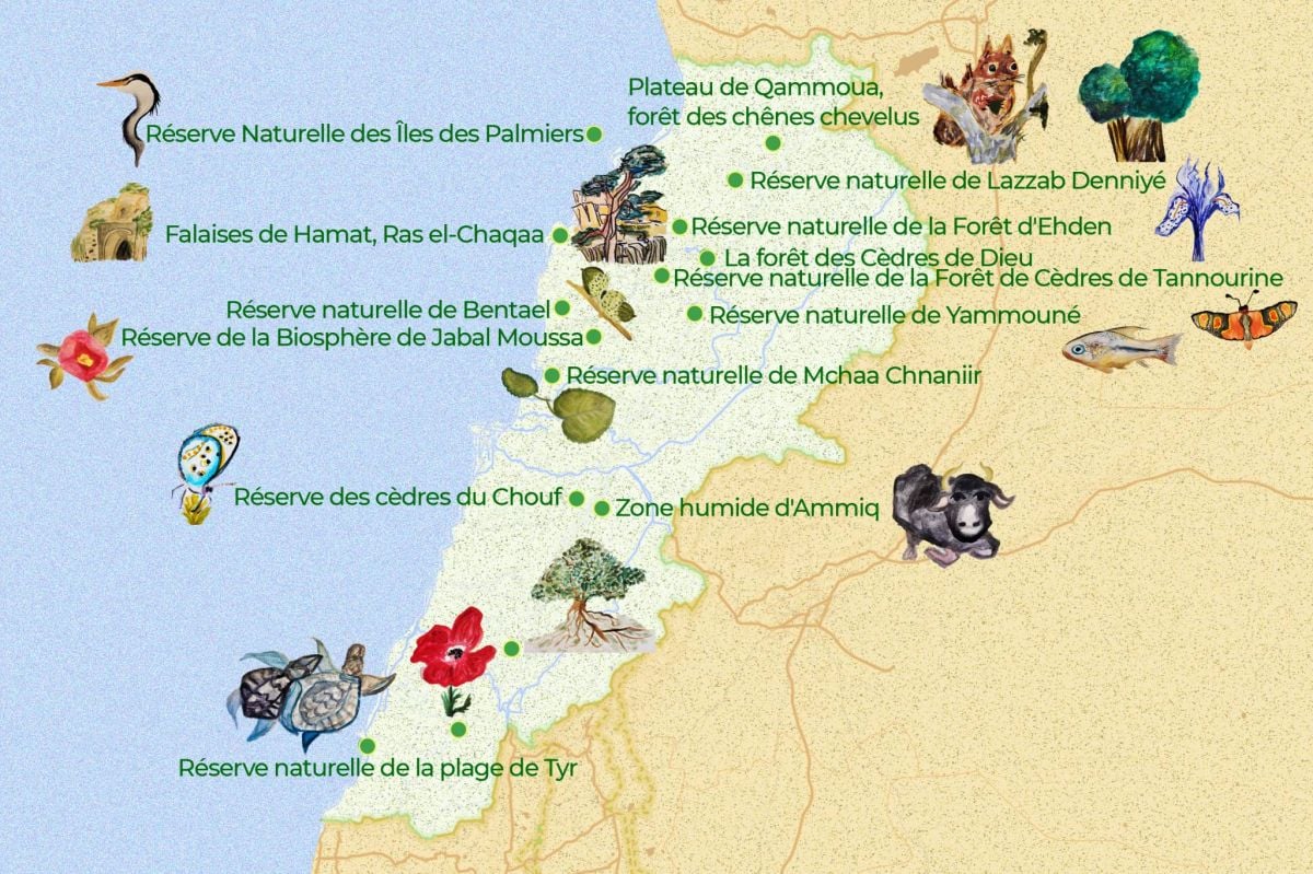 Au fil des sentiers, ces réserves naturelles du Liban qui vous feront prendre un bon bol d’air Au fil des sentiers, ces réserves naturelles du Liban qui vous feront prendre un bon bol d’air