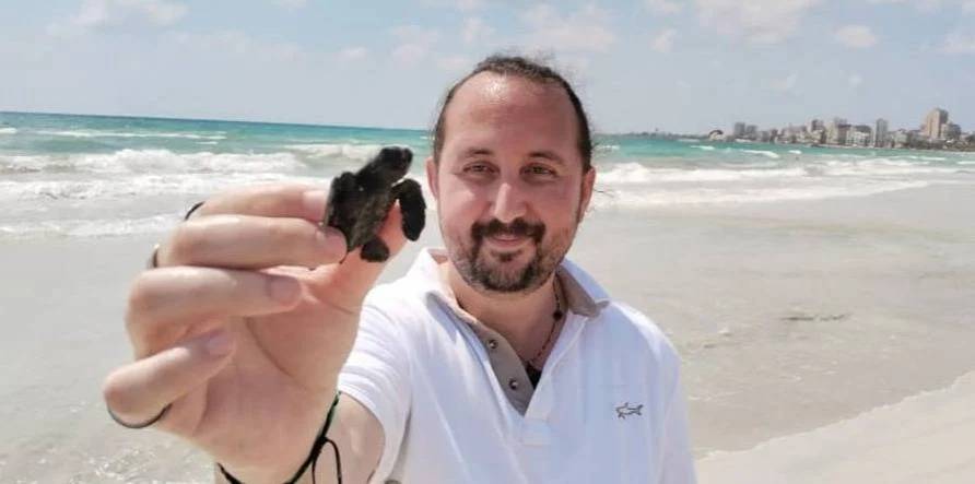 Baby turtles released into the sea in Sour's nature reserve
