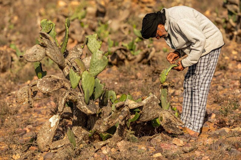 Maroc: plus de 20 décès en 24H après une vague de chaleur officiel - L ...