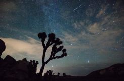 Un cliché de la pluie des Perséides au-dessus du parc national Joshua Tree, en Californie. Photo d'archives Brad Sutton/National Parks Service/NASA