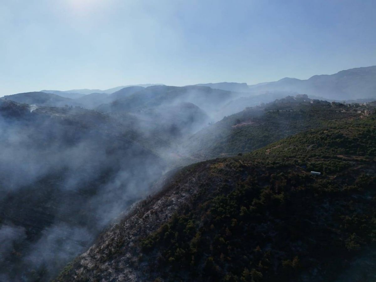 Les feux de forêt à Bzal, dans le Akkar, sous contrôle