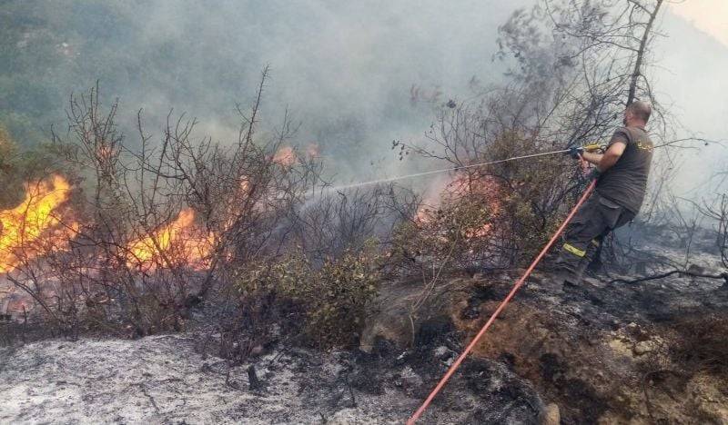 Forest fire breaks out again in Bzal, Akkar