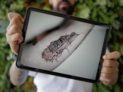 Élie Akiki, artiste tatoueur, présente un tatouage qui lui a été commandé en souvenir des explosions au port de Beyrouth le 4 août 2020. Photo Matthieu Karam