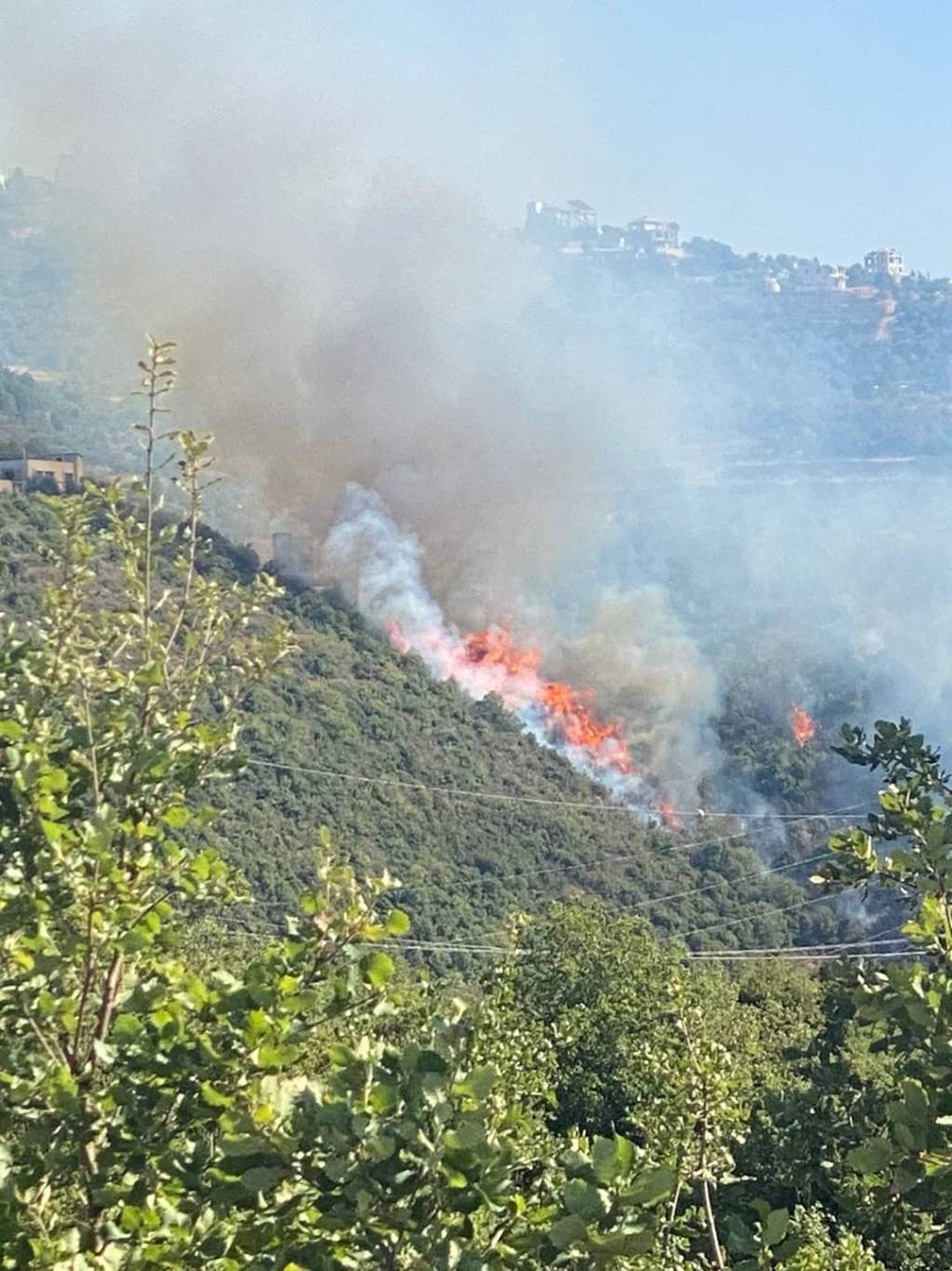 Un incendie maîtrisé dans des forêts du caza de Batroun