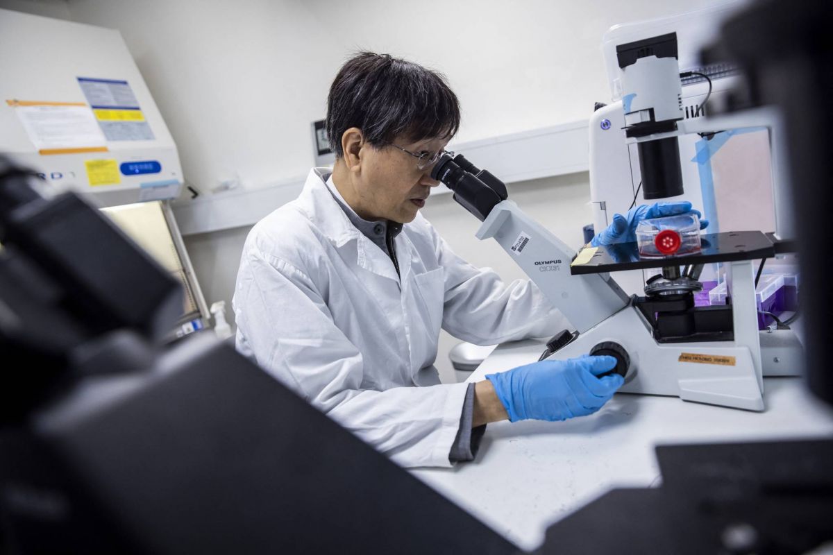 À Hong Kong, un expert des coronavirus met en garde contre de nouvelles pandémies