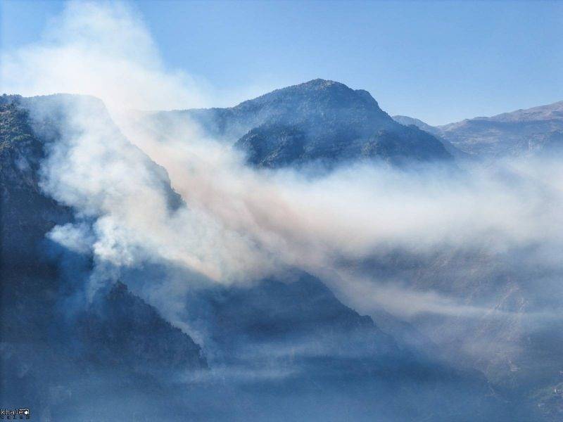 L'incendie de la forêt de Wadi Jhanam maîtrisé après plusieurs jours de lutte