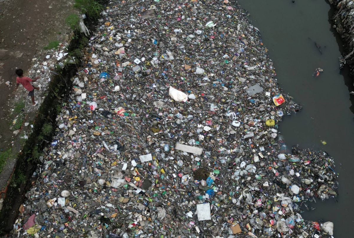 Près de 200 militants pour l'environnement tués en 2023, selon une ONG Près de 200 militants pour l'environnement tués en 2023, selon une ONG
