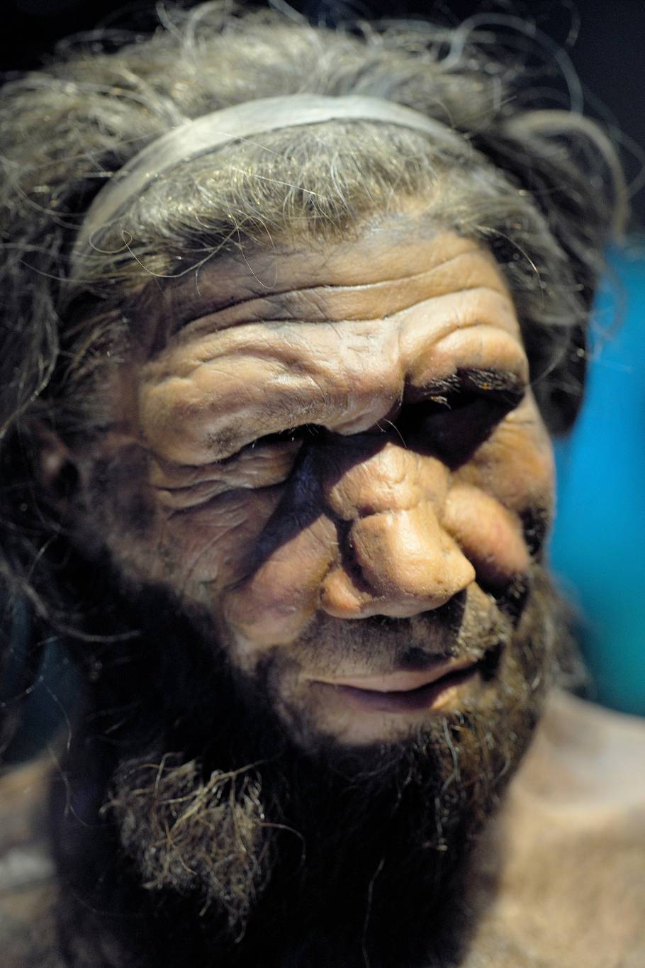 Neandertal ne se mélangeait pas, et c’est peut-être ce qui l’a perdu
