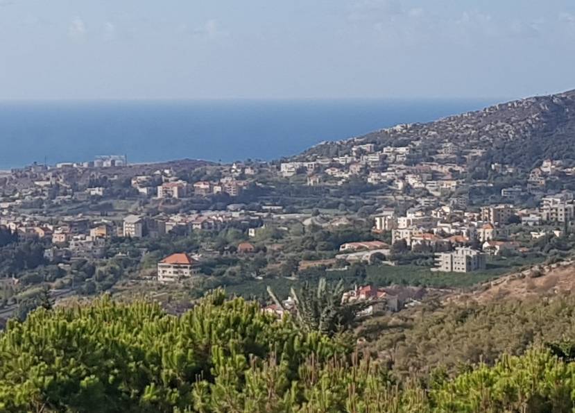 Un homme tue son père, sa femme et son fils avant de se suicider dans la région de Batroun