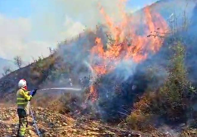 Un incendie éclate dans le Akkar, ravageant nombre de vergers Un incendie éclate dans le Akkar, ravageant nombre de vergers