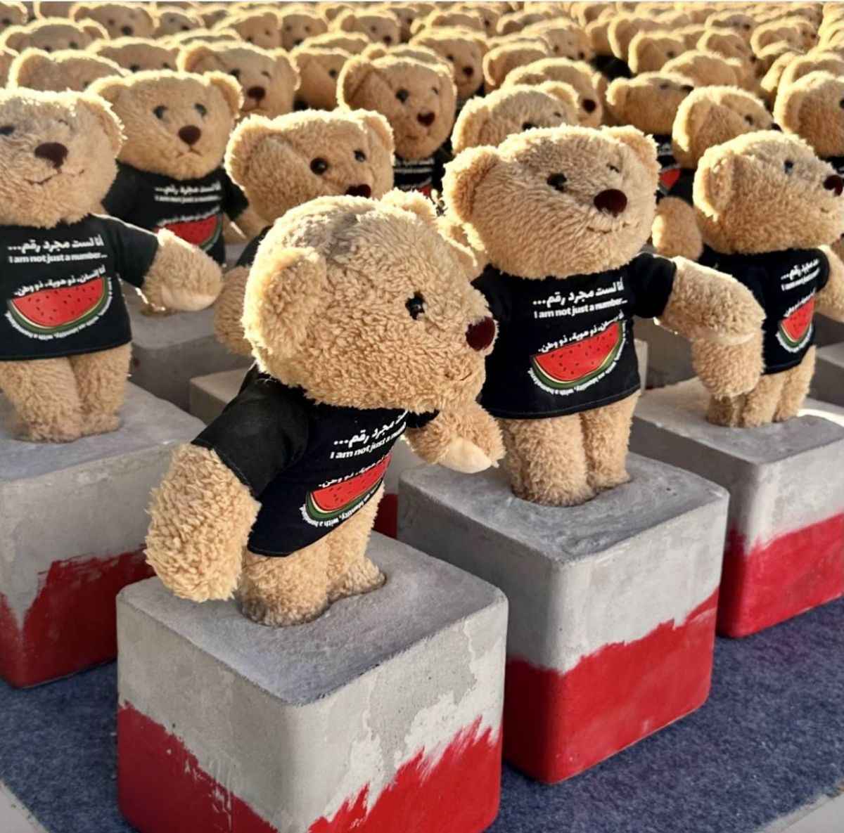 Une armée d'ours en peluche pour les enfants de Gaza Une armée d'ours en peluche pour les enfants de Gaza