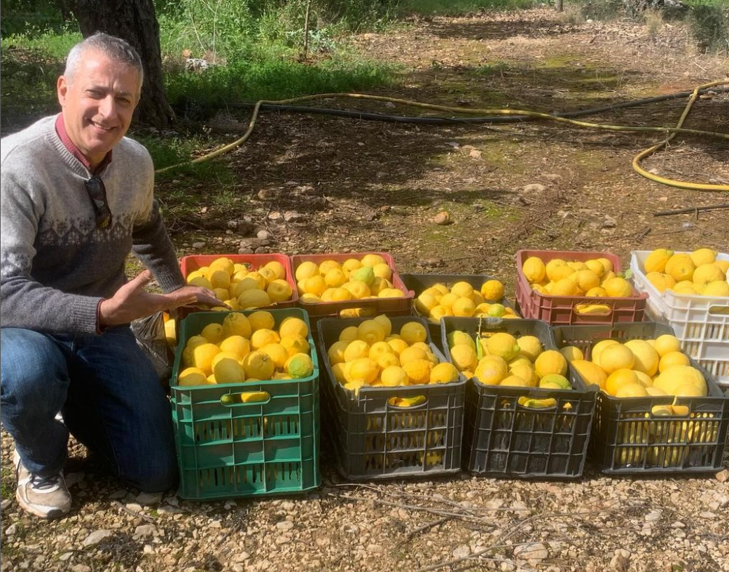 Tous les chemins mènent au (Supreme) Limoncello de Ziad Fahed