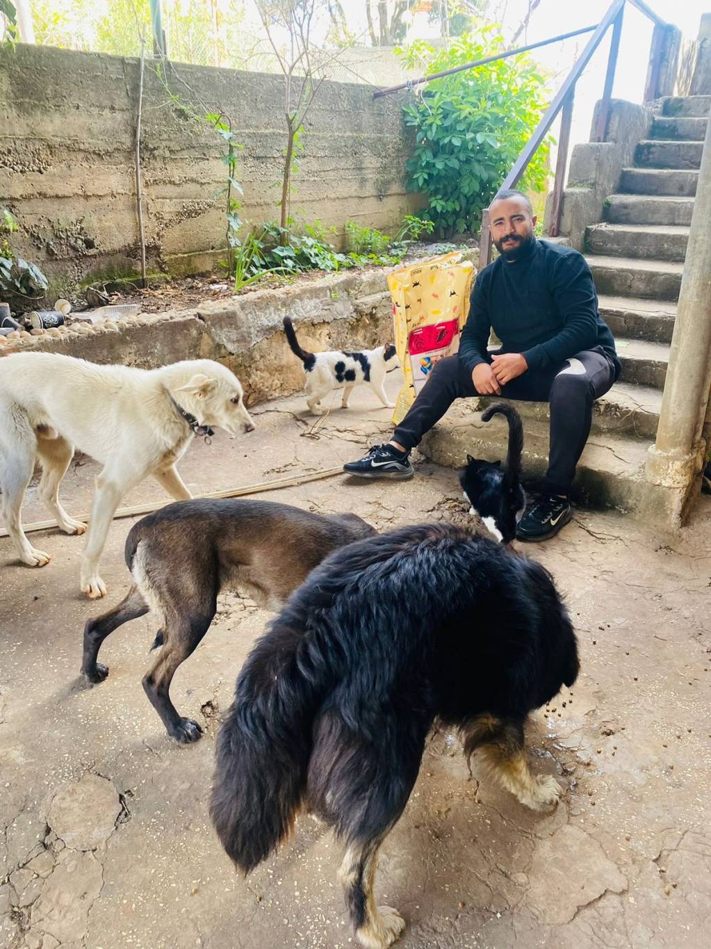 Qu’est-il arrivé à Kassem Haydar, sauveur des animaux abandonnés à Chakra ? Qu’est-il arrivé à Kassem Haydar, sauveur des animaux abandonnés à Chakra ?