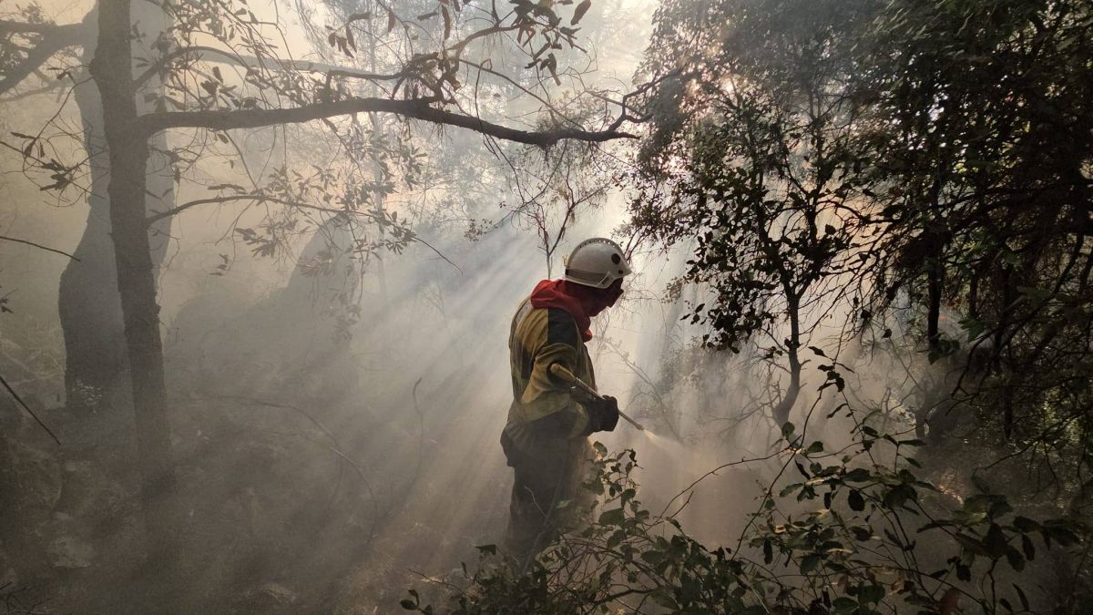 Pourquoi y a-t-il plus d’incendies au Liban cette année ?