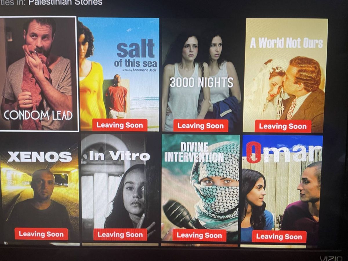 Palestinian stories erased: The controversial removal of films on Netflix