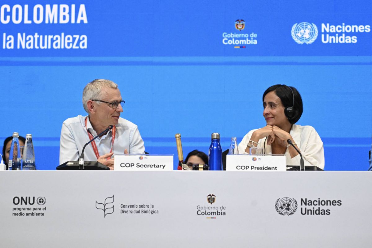 La COP16 biodiversité institue un fonds sur le partage des bénéfices tirés des ressources génétiques La COP16 biodiversité institue un fonds sur le partage des bénéfices tirés des ressources génétiques