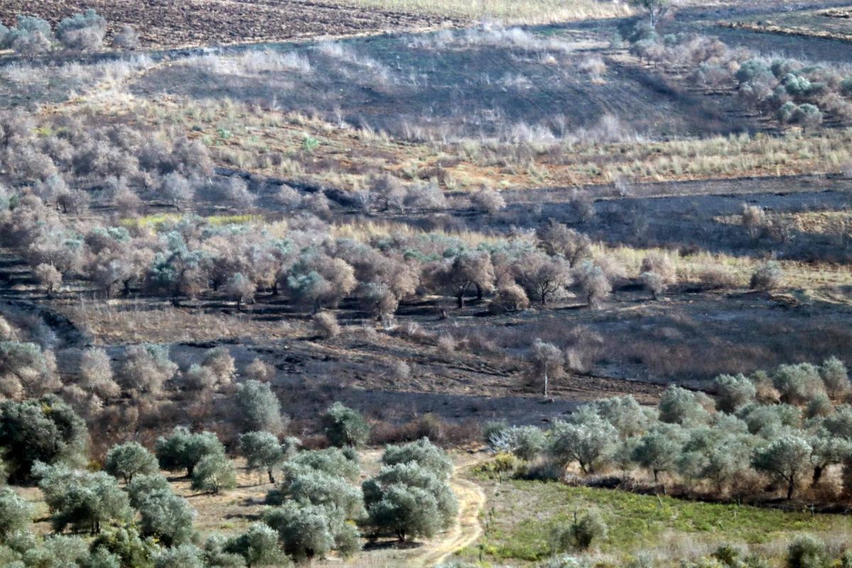 Cinq semaines plus tard, le point sur l’offensive terrestre israélienne