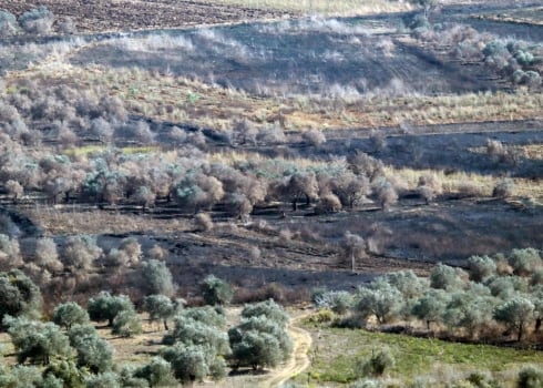 Cinq semaines plus tard, le point sur l’offensive terrestre israélienne