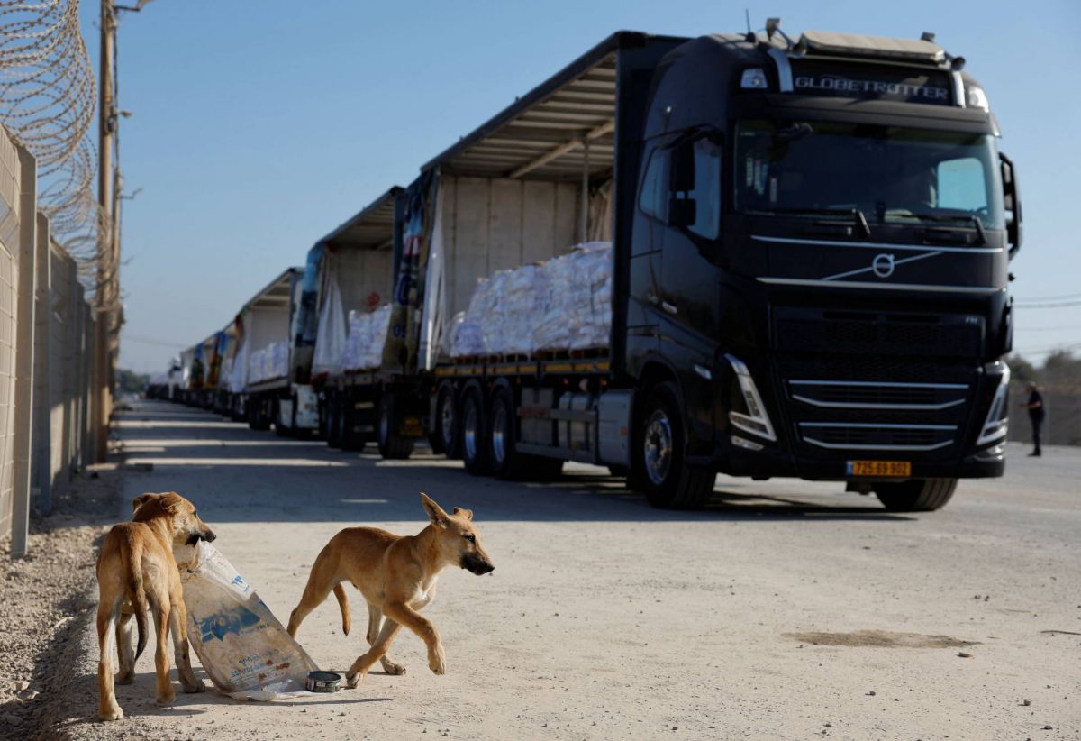 Pillages et rackets de convois d'aides par des Palestiniens armés à Gaza, sous les yeux de l'armée israélienne