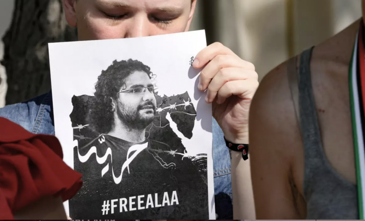 ‘The Egyptian regime thinks it can silence all opposition’: Leila Soueif