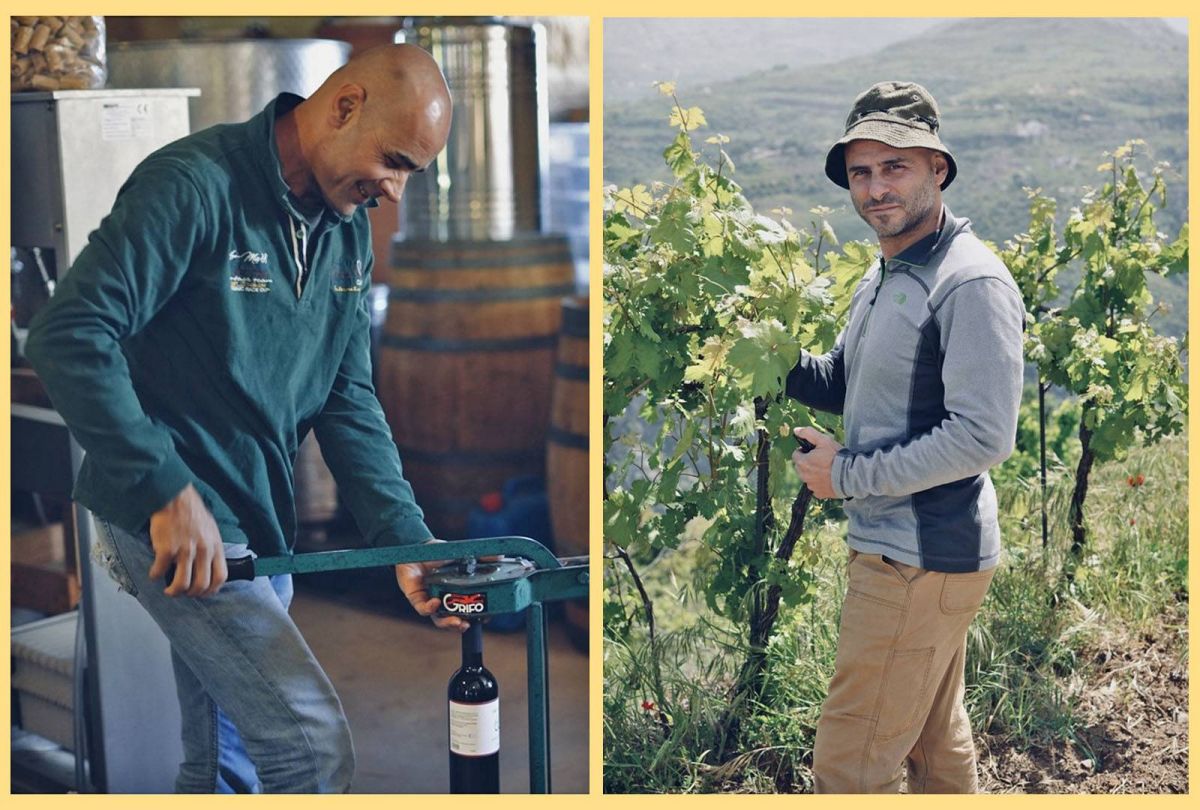 The Syrian and Lebanese winemaking brotherhood