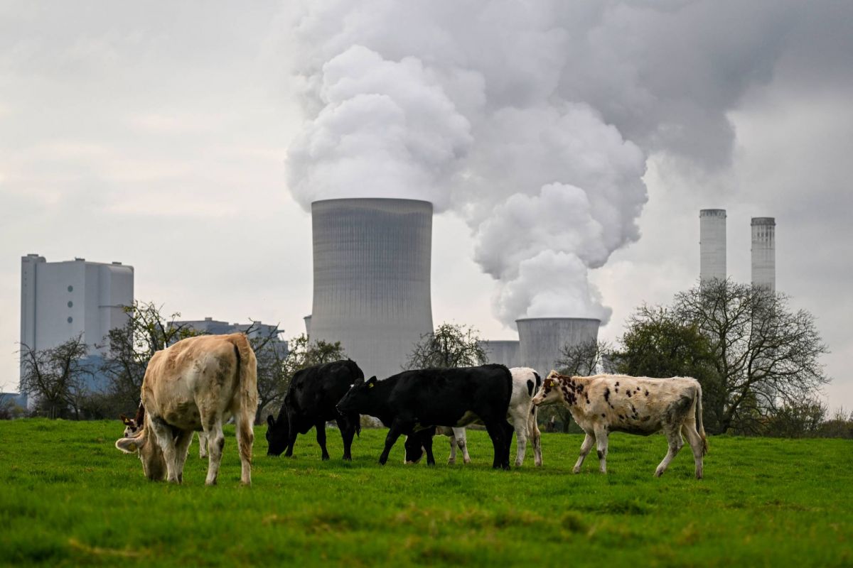 COP29: les négociations tendues, avant le G20 et l'arrivée des ministres