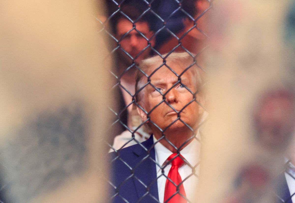 Trump et le MMA, un amour réciproque