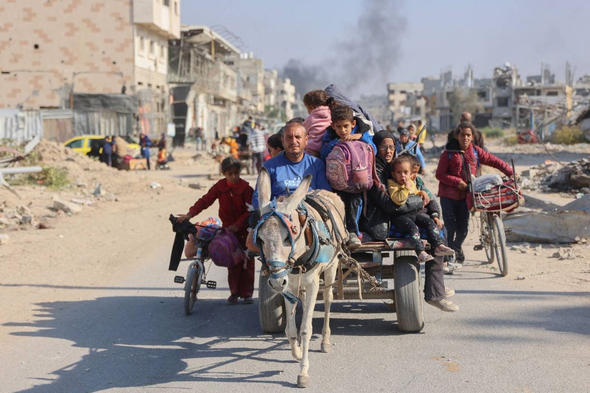 Les ânes de Gaza au secours des habitants pour survivre à la guerre