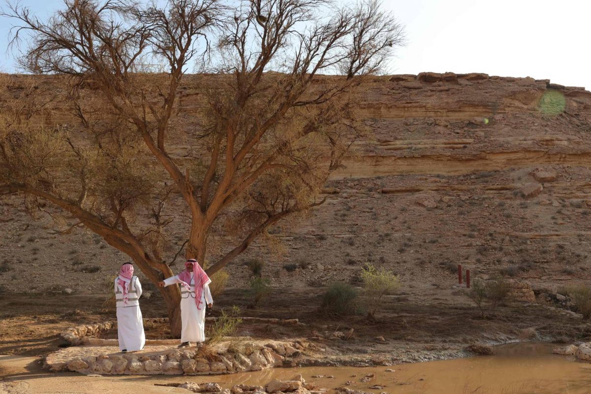 Agriculture intensive et déforestation mènent la planète au « bord du précipice », avertit l’ONU