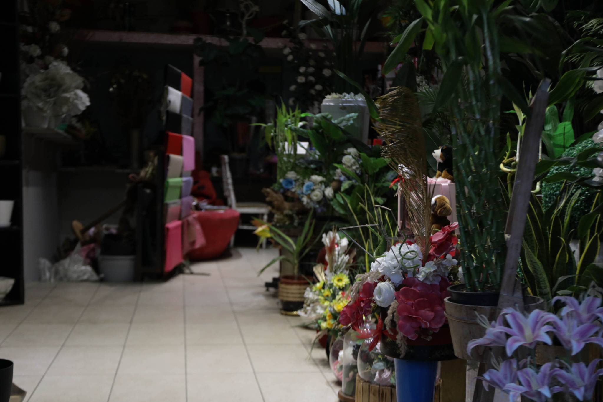 Even with the gloom hanging over the suburbs, little things like a flower shop, filled to the brim with flowers of different types and colors, provide a brief reprieve from the darker reality outside of its doors. (Credit: Nicholas Frakes/OT)