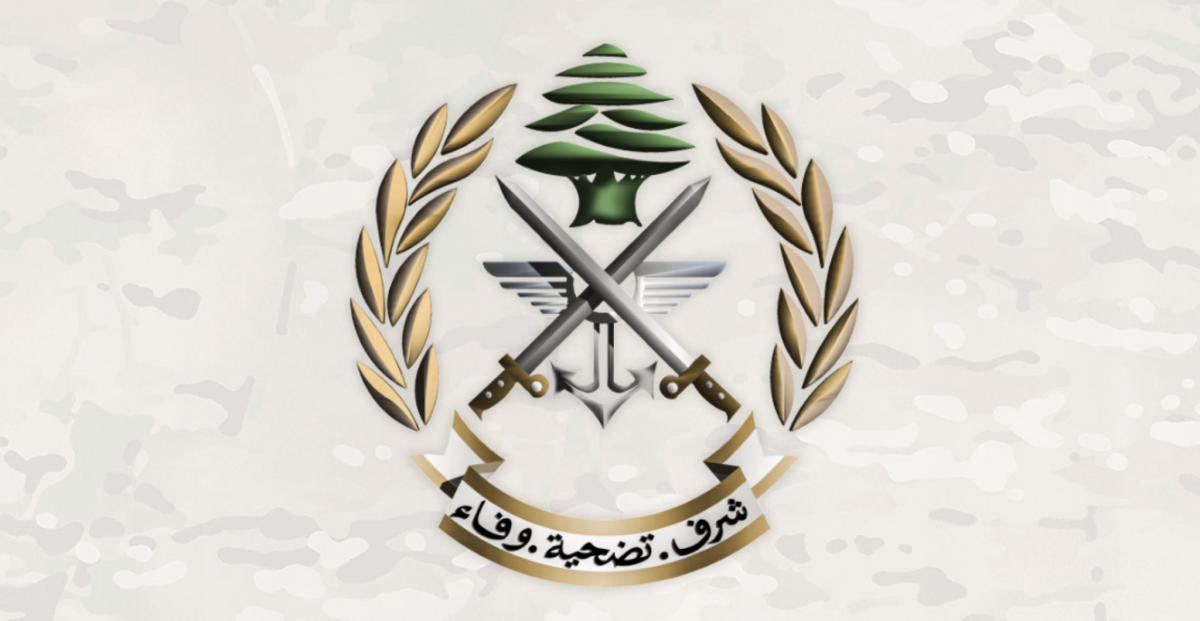 Army explodes munitions in Bekaa and South