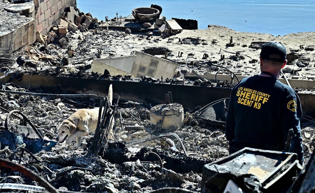 Incendies à Los Angeles: au moins 24 morts, des vents violents menacent