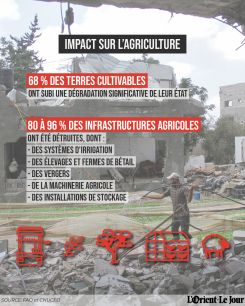 Infographie par Jaimee Lee Haddad (Photo AFP)