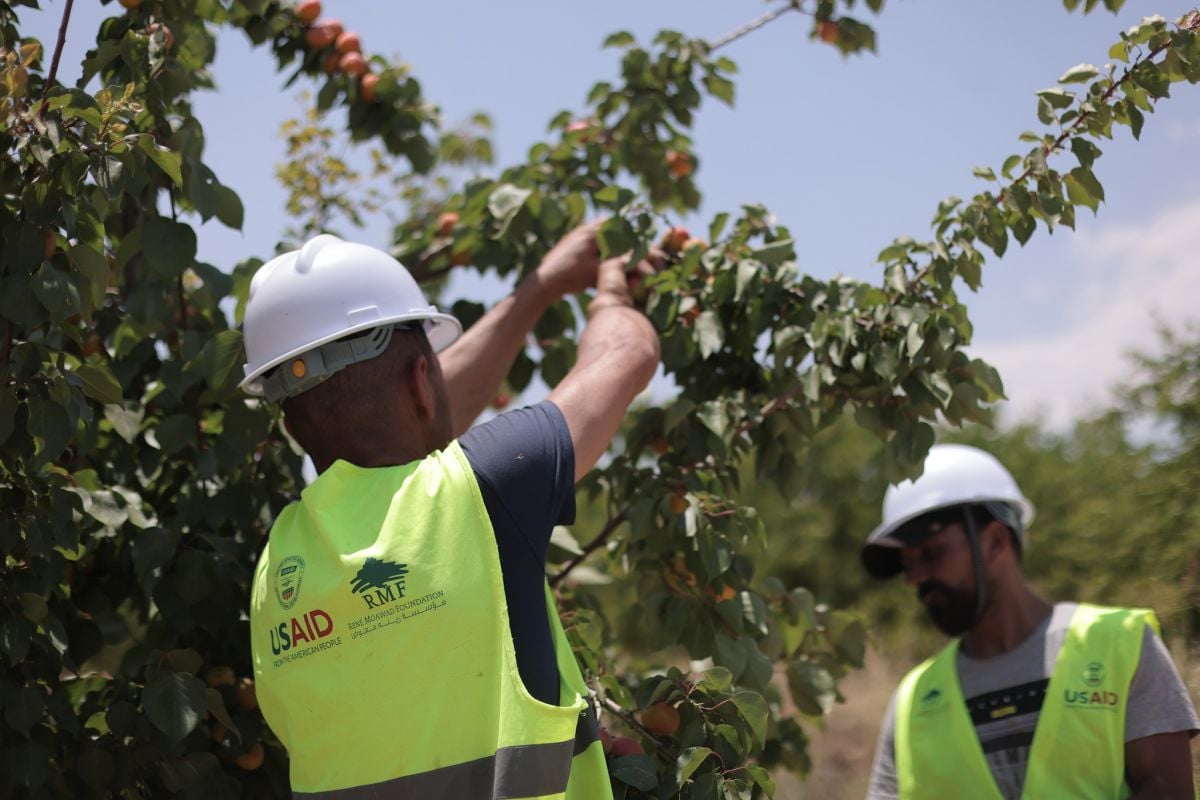 Hundreds of jobs in Lebanon on the line amid Trump’s USAID freeze