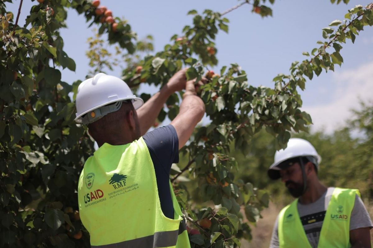 Gel de l’aide américaine : des centaines d’emplois au Liban en danger Gel de l’aide américaine : des centaines d’emplois au Liban en danger
