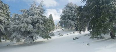 Le Liban-Nord et une partie de la Békaa recouverts de neige, routes bloquées dans le pays