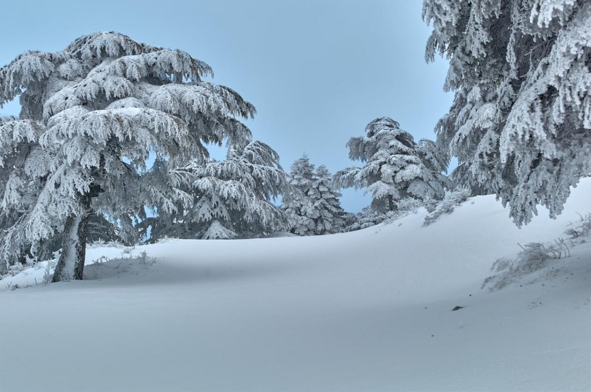Le Liban se refroidit, de la neige à partir de 800 mètres d'altitude Le Liban se refroidit, de la neige à partir de 800 mètres d'altitude