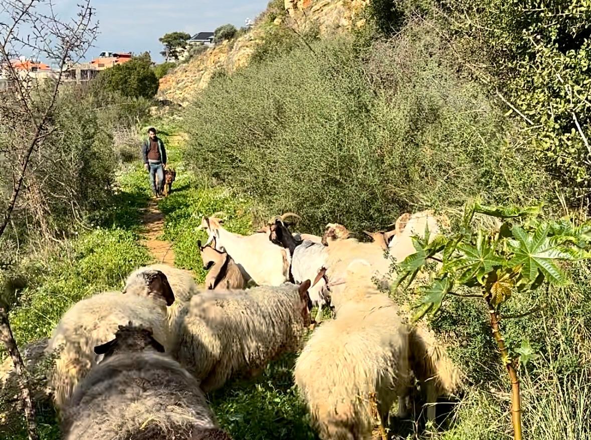 More than half of Lebanese farmers are not registered: Nizar Hani More than half of Lebanese farmers are not registered: Nizar Hani