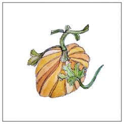 Le potiron, légume de saison. Illustration Jaimee Lee Haddad