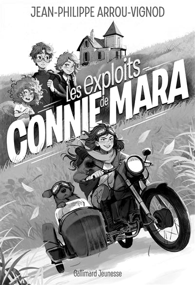 Le roman des aventures de l’édition
