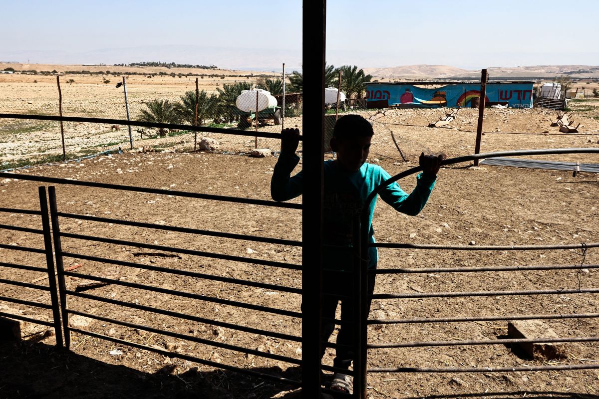 West Bank livestock theft symbol of tensions and settler 'impunity'