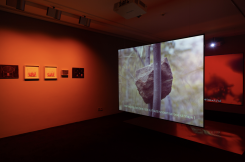 "When the Second Sun Arrives, A Comet in Your Eyes", de Janaina Wagner, au Musée Sursock. Photo Christopher Baaklini