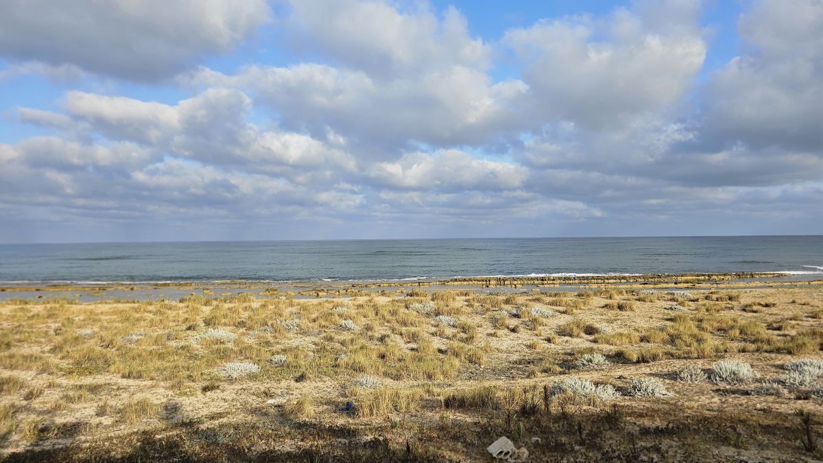 Salam's government 'retrieves' decrees on controversial coastal projects