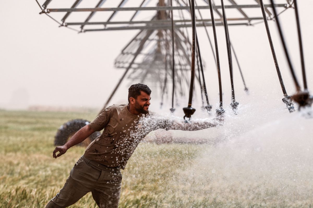 Iraq farmers turn to groundwater to boost desert yield Iraq farmers turn to groundwater to boost desert yield