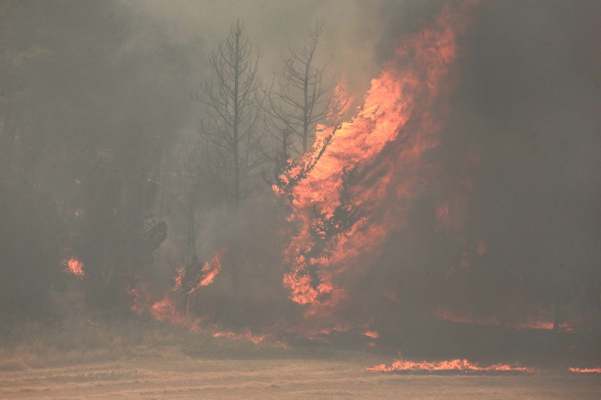 Raging wildfires near Jerusalem trigger army deployment Raging wildfires near Jerusalem trigger army deployment
