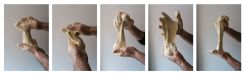  Photographies issues de « Langue maternelle » exposées au festival « Circulations »