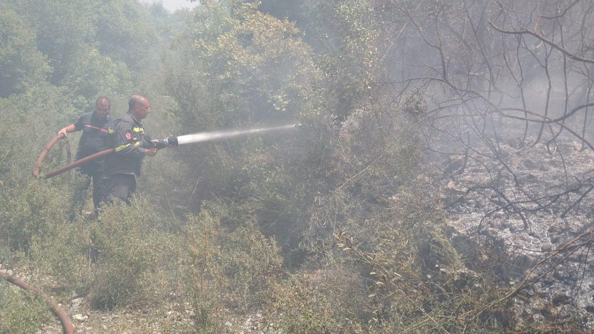 Deuxième incendie en deux jours dans la réserve naturelle de Tyr