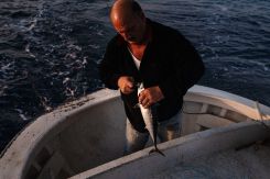 Une image tirée du documentaire « Hima Enfé » de Pascale Feghali et Gabriel Ferneini. Photo Gabriel Ferneini