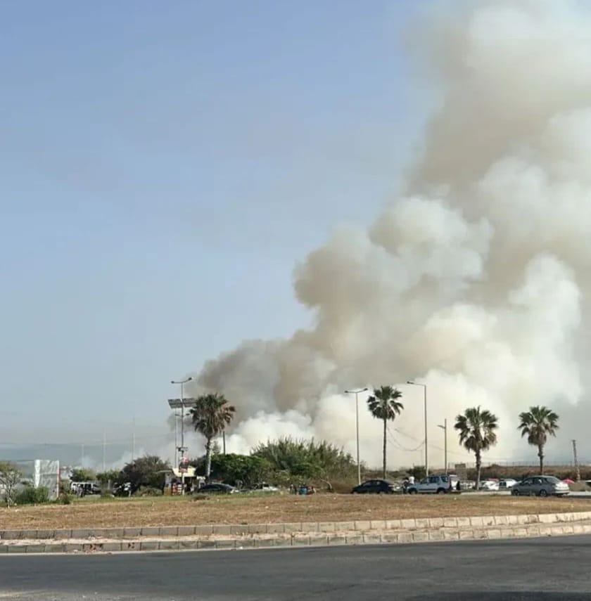 Major fire quickly contained in Sour Nature Reserve