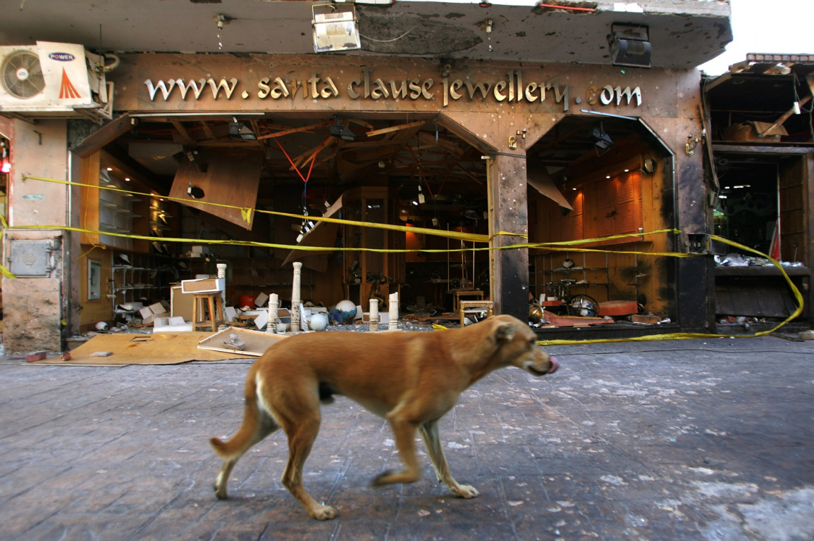 Woman attacked by stray dogs in Saida Woman attacked by stray dogs in Saida